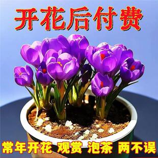 �ؼt���ͺ����B�����҃����ļ��_���ܾGֲ���ʳ���̨ͥԺ���Ի�