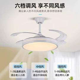 风扇灯;吊扇;灯控制器