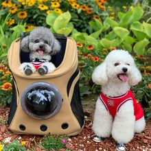 大号宠物包狗狗背包外出双肩便携太空书包舱背柯基法斗猫20斤狗包