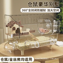 �}��\�ӳ�����A�e����z������͸��������B���gС�͌������