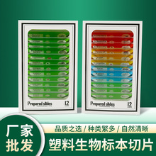 Ӣ�Ę˺��@΢�R������x�˱�һ��12Ƭ�b��ͯ��������˱���Ƭ