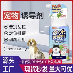 ���ձ����С����������T��������С���������ﶨ�c�ű���ȮӖ����