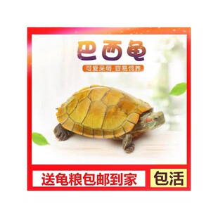 ���������������w����t����ˮ�������^�p�����С��������
