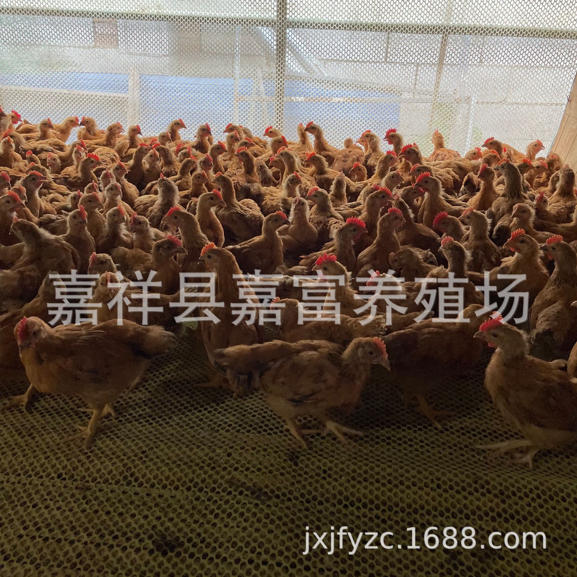 微信图片_20220928121845.jpg