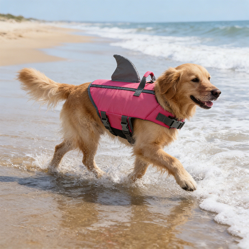 Shark Fin Dog Swimsuit