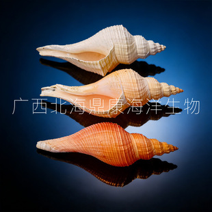 ������L���ݽ�����Ȼؐ�������~�׾Ӽҙ����[�����ǽ��ݴ�̖��