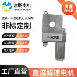 富腾电机FT-65SGM290智能指纹锁微型马达蜗轮蜗杆直流减速电机