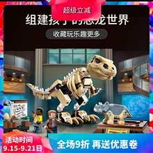 �й���ľ٪�޼�76940��������ʯչ��������ͯƴװ�������60132
