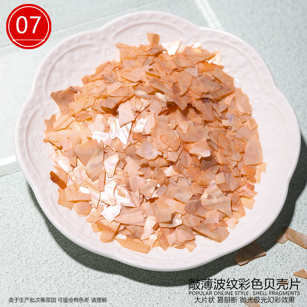 큰 조개껍데기 (색상 7)
