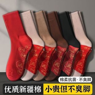 �T���½���10A.�����ﶬ�������m����Ů��Ͳ�t�m����������t�m��