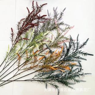 �������K����β�ݷ���Gֲ��@�b�β�ͲݾG�������b����