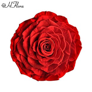 õ�廨�^A��9-10cm�������ֹ�DIY���ϻ�Y������Ļ����[�����l