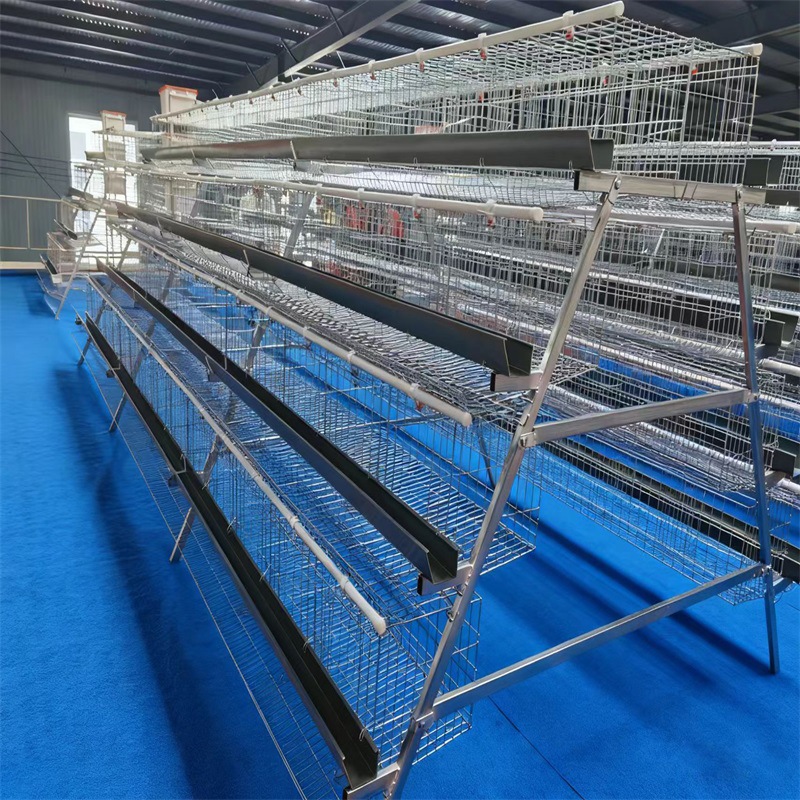 Galería de huevos multicapa Galería de huevos galvanizada en frío