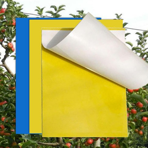 Sticky Insect Board Wholesale Greenhouse Yellow Board Orchard Tea Garden Insect Trap Board Pest Sticky Board Gardening Tools Bonsai Succulent