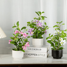 �羳����Gֲ�մ��L�������Է���ֲ�ﻨ���bҾ��b��滨�[��