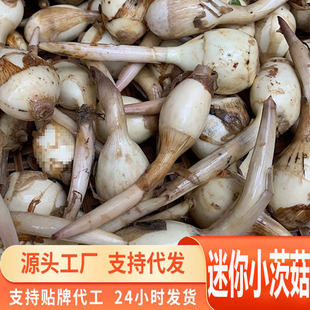 Դ�^һ�����l����С�Ĺ�������r�״Ĺ��F�ڰ��R���r���ԷN���߲�