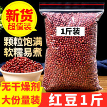 �tС��500g�t���r���Ԯa����s�Z�����͌��t��޲�ײ�������