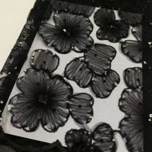 NwƬϱPŮ鼆Y̽ɫٽzW