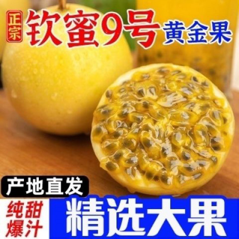 黄金百香果钦蜜9号新鲜当季现摘精选中果10个20个特大30个鸡蛋果