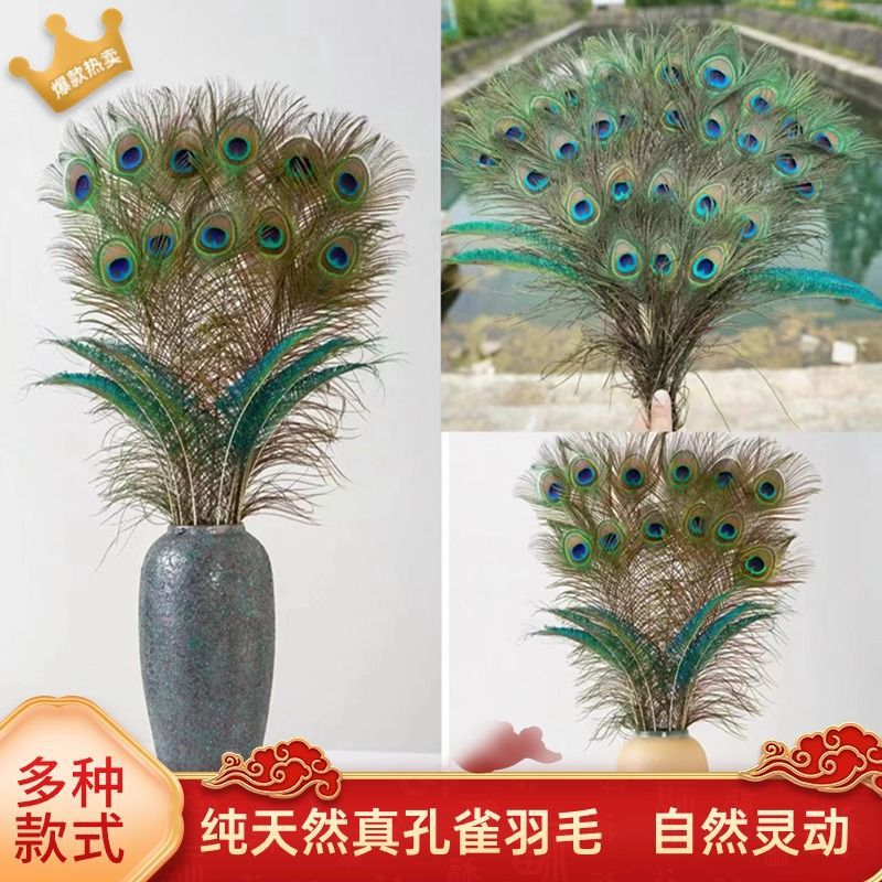Plumas de pavón real plumas naturales materiales DIY de alta calidad decoración porche ornamentos plumas verdaderas decoración para el hogar para el budista plumas de pavón