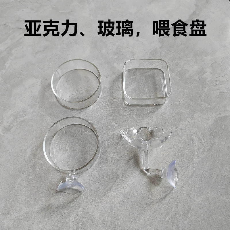 Пластина кормушки Земля Воздух Креветка Пластина Пищевод Аквариум для воды Трава Бак для раковины Кристалл Креветки Акриловое стекло Прозрачное домашнее животное