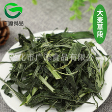 现货供应大麦草段麦苗段宠物牧草段散装批发量大从优