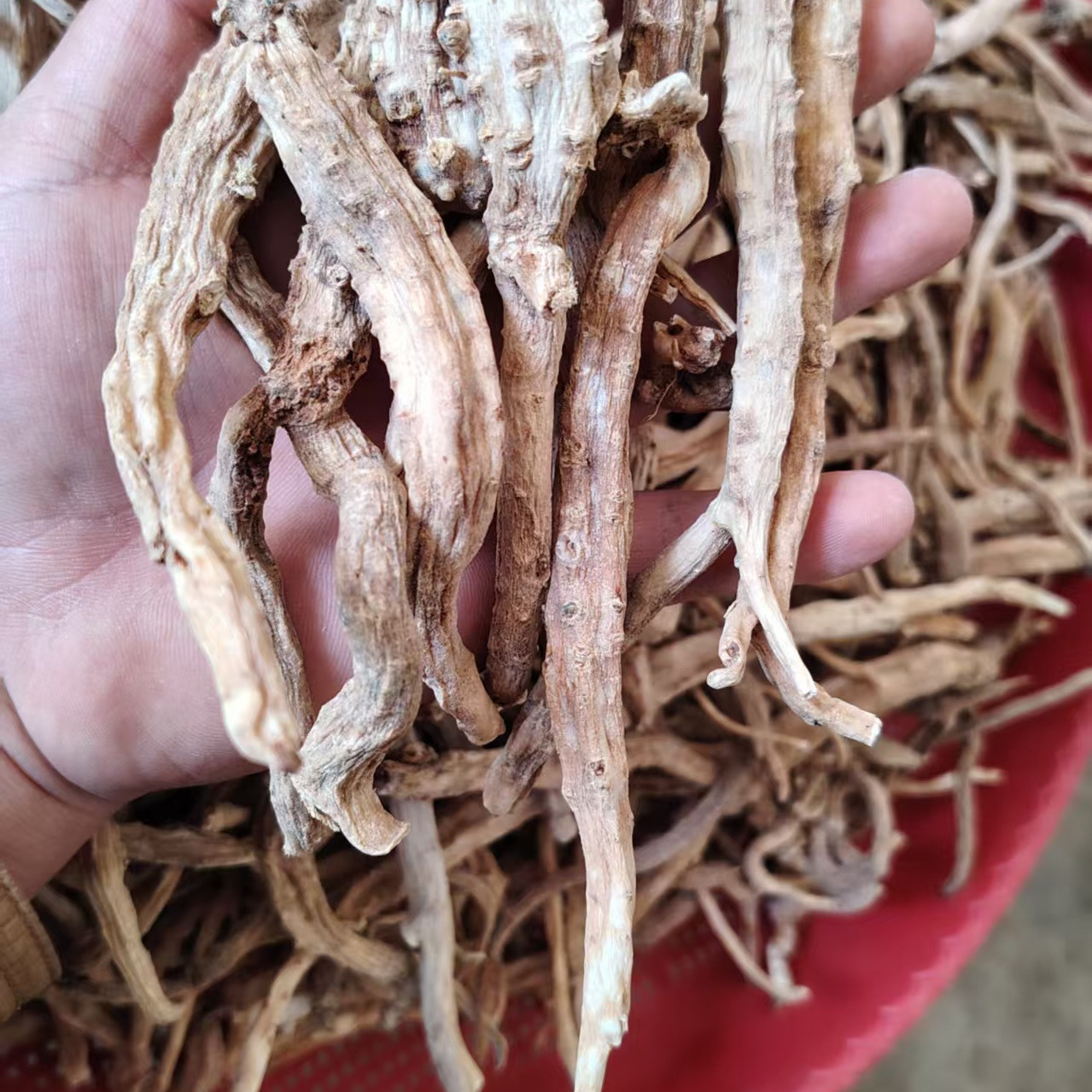 Tu Dang Shen Roots (Codonopsis pilosula var. handeliana) — Sun-Dried Food Herb for Tonic Soups & Herbal Wine key features