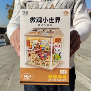 ��ͯ���DIYƴ�b��偵ꎧ����΢�^С����ϵ�зe�փ��Q�YƷ���l