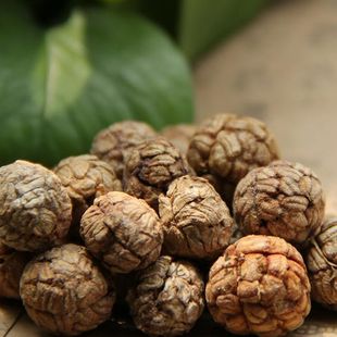 �ݿܲݶ�ޢ�ݿ��������l���ò�ޢ�ݿ��w������ޢ�����u�����l