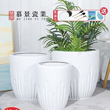 北欧现代陶瓷大花盆简约百搭盆栽特大口径龟背竹龙血树绿植通用