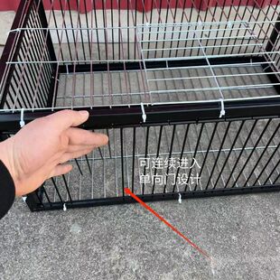 �¿��ɫ��������\ֻ�M�����Ԅ�ײ�T�\�������ץ���Ӵ���������