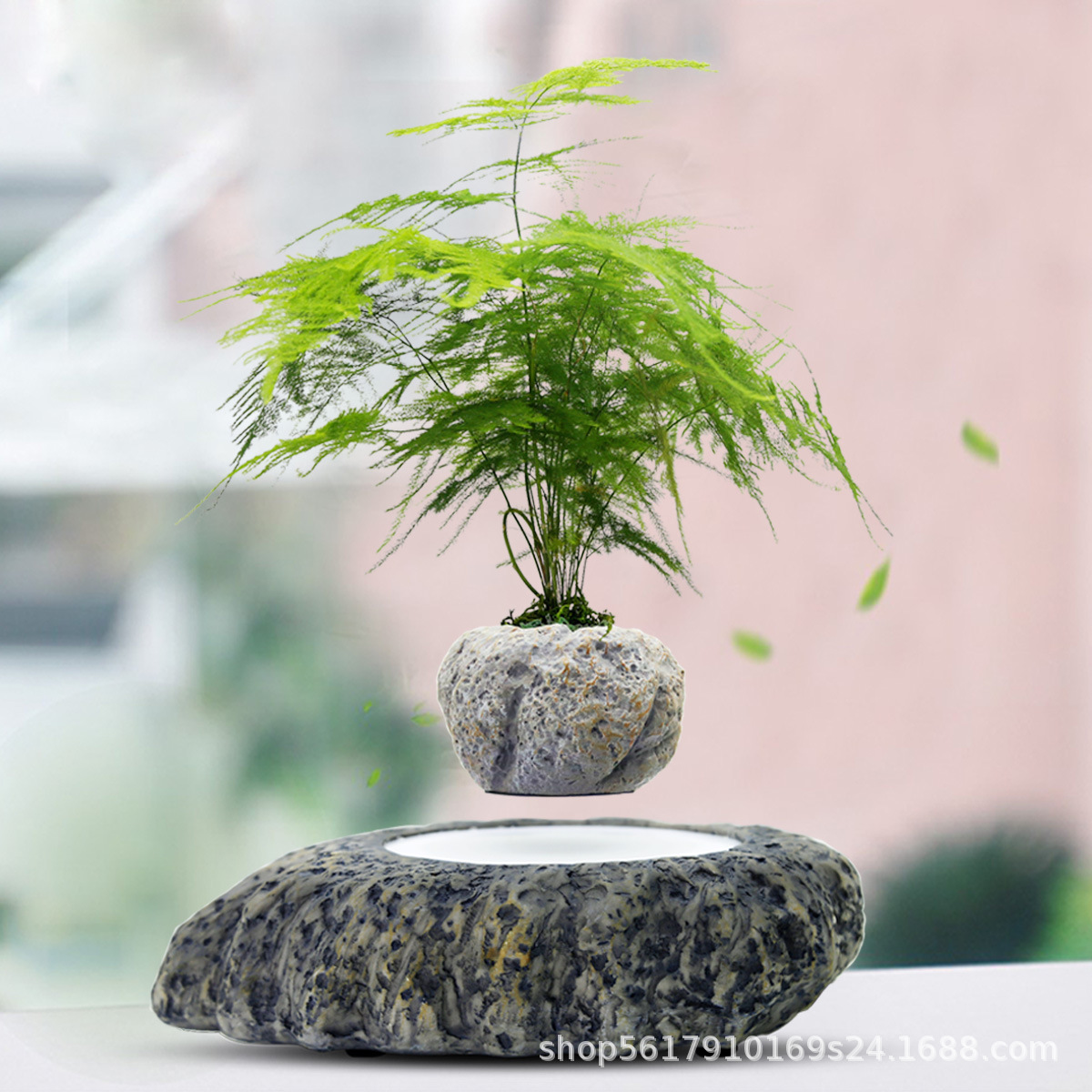 磁気浮上式植木鉢、回転式グリーン、リビングルームの装飾品、工芸品、植物盆栽、卸売、金のなる木