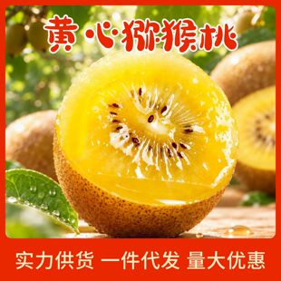 �S�īJ���� ������r��ժ�S�ľG�����r�ЋDˮ����������a��ֱ�l