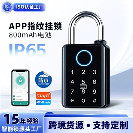 指纹锁;密码锁;家具锁办公锁