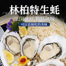 �����M������ְ������������l ���rˮ�a�r�����������rĵϠ