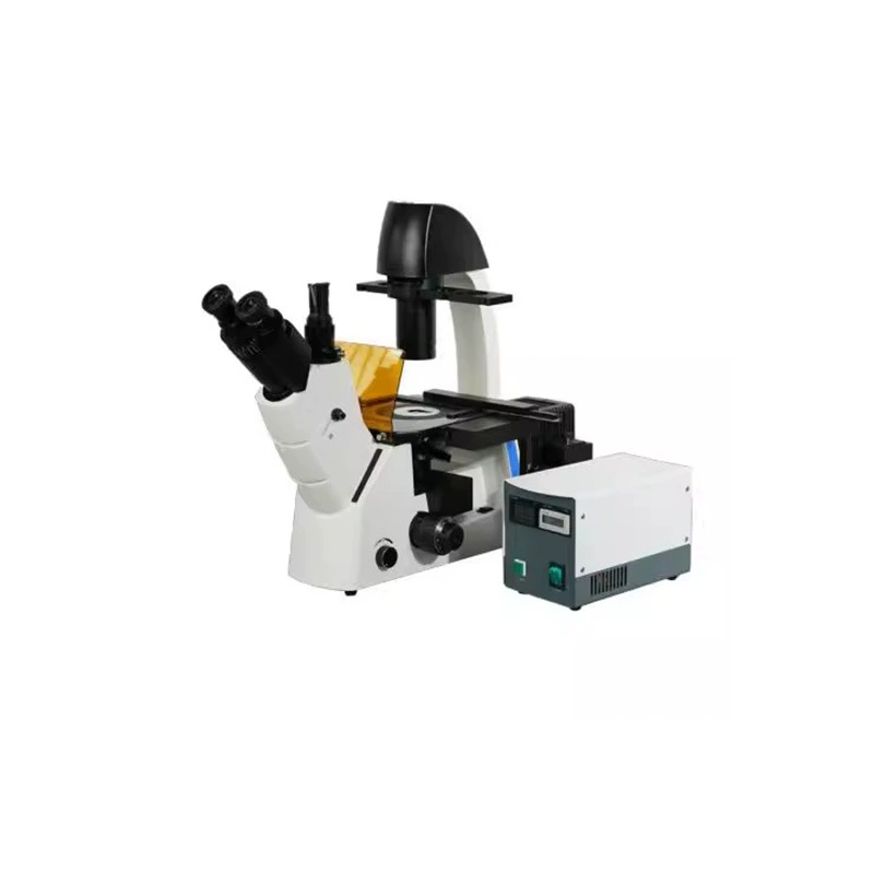 Шанхайский BM-37XY серии лабораторный микроскоп с инвертом флуоресцентный микроскоп