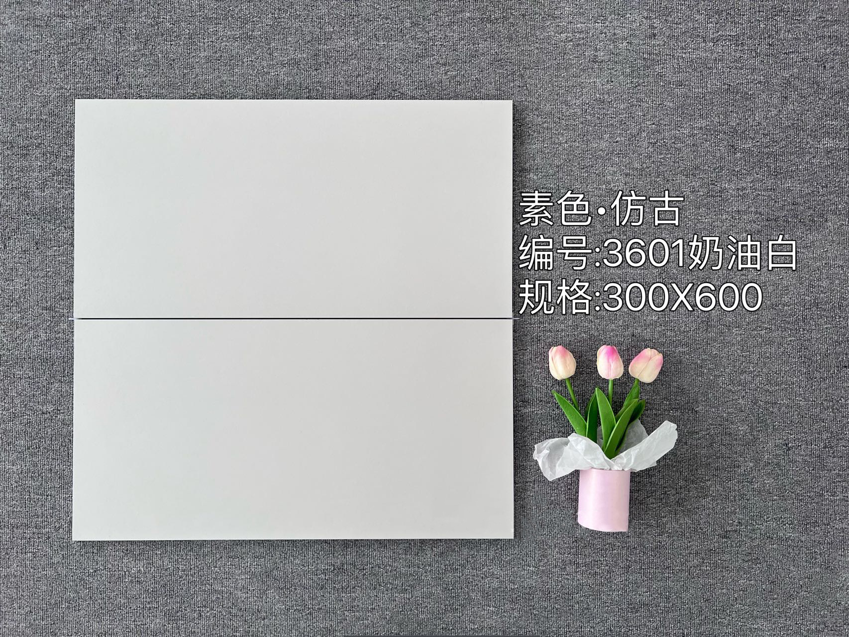 크림 화이트 3601