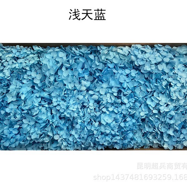 [Вечная Life Flower Hydrangea] Анна Градиентный цвет Лист Hydramid Книга цветов оптом DIY цветочная коробка материал для просмотра