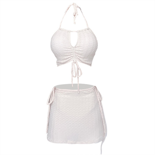 Separate swimsuit skirt style three-piece bikini swimwear sexy internet celebrity high-end slimming hot spring vacation swimwear 
