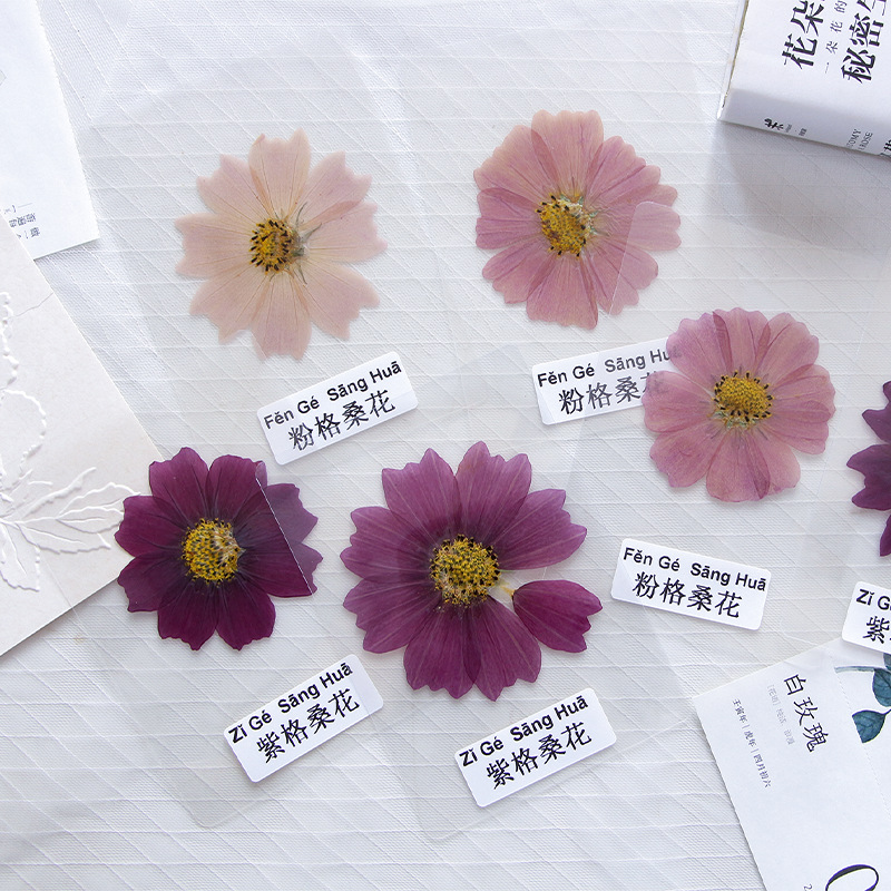 Plant Press Bookmark Material Kit, Ancient Style Embossed Bookmark DIY Material Dried Flower Tools for Students to Make