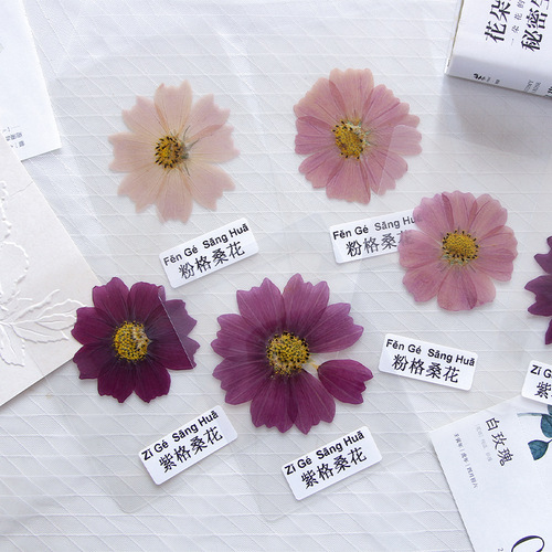 Plant Press Bookmark Material Kit, Ancient Style Embossed Bookmark DIY Material Dried Flower Tools for Students to Make