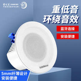 雷公王CR-401吸顶喇叭定阻同轴蓝牙音响吊顶重低音嵌入式家用音箱