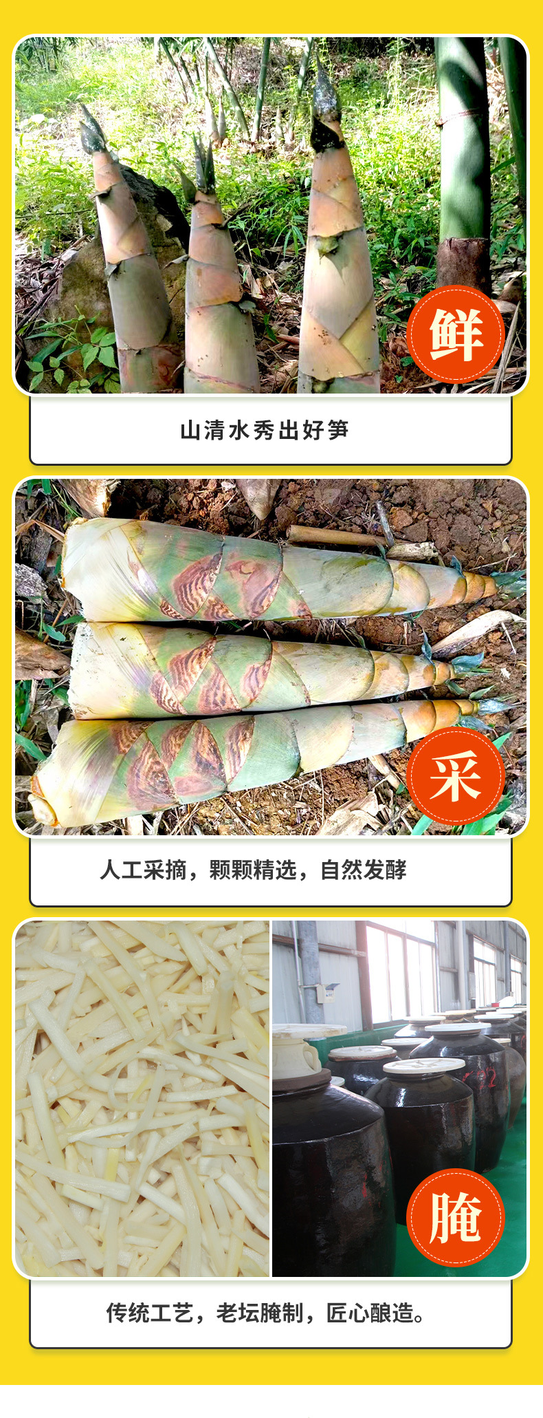 酸笋通用版_02
