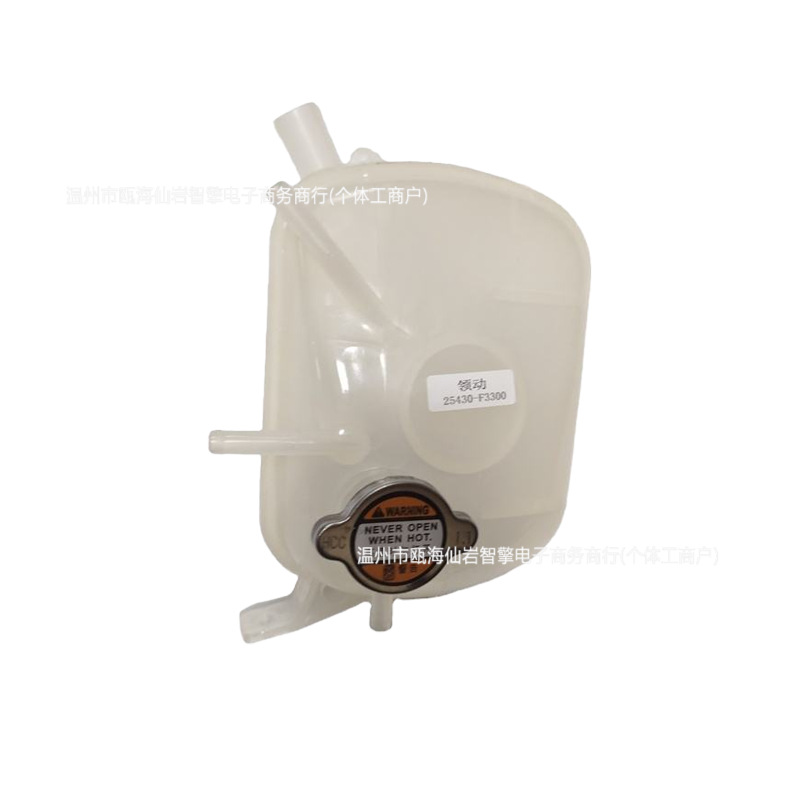 2017-2020 Hyundai Elantra/i30 and Kia Ceed expansion tank, part number 25430-F3300, 25430-G430