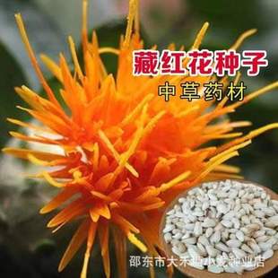 �ؼ��t���N�� �ؼt���N�� �����½��o�̼t���N�ݴ��ļ��Nֲ