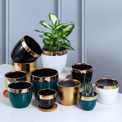 Nordic creative INS gold electroplated ceramic flower pot, gold edge flower arrangement, Christmas flower pot, container decoration, succulent roses
