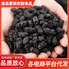 新疆野生桑葚干免洗无沙干货500g精选天然独立包装养生茶原料批发