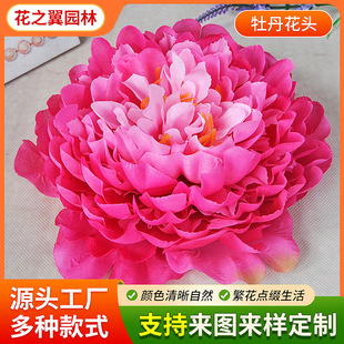 ���滨�^���� ��c�����zӰ���� LED�������ĵ������ҹ��