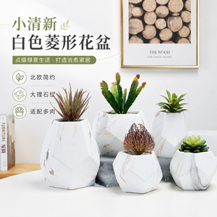 �羳С���°�ɫ���λ����ͥ�@ˇ�̈��k���ҾƵ��b��մɶ��⻨��