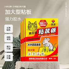 �S�����lX5ճ��匣ճ�������������ô�ߴ�  �Ӻ�